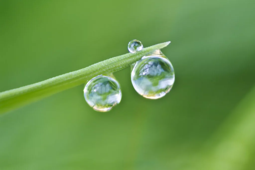 Surface Tension